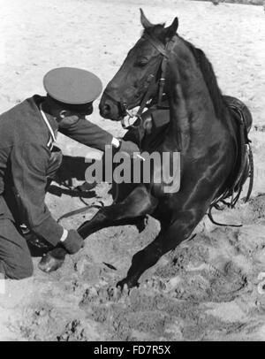 Soldat der Wehrmacht Ausbildung seines Pferdes, 1936 Stockfoto