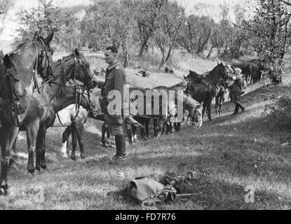 Kavallerie der Wehrmacht während einer Übung auf der Elbe, 1935 Stockfoto