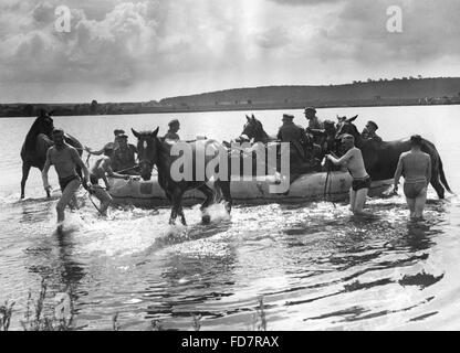 Kavallerie der Wehrmacht während einer Übung an der Oder, 1935 Stockfoto