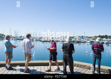 Gruppe von älteren Männern racing mit remote gesteuerten kleine Segelboote an einem hellen Sommertag in einer Marina. Stockfoto