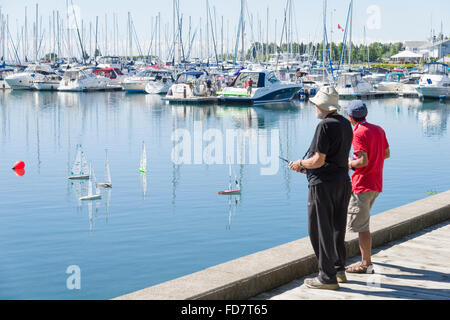 Gruppe von älteren Männern racing mit remote gesteuerten kleine Segelboote an einem hellen Sommertag in einer Marina. Stockfoto