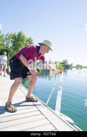 Gruppe von älteren Männern racing mit remote gesteuerten kleine Segelboote an einem hellen Sommertag in einer Marina. Stockfoto