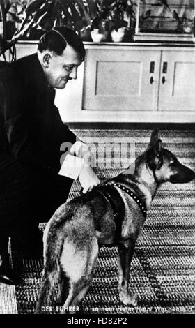 Adolf Hitler mit seinem Hund, 1937 Stockfoto