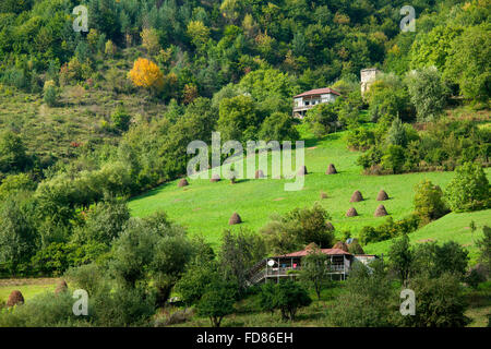 Georgien, Mzcheta-Mtianeti, Bei der Ortschaft Passanauri eine der Georgischen Heerstraße. Stockfoto