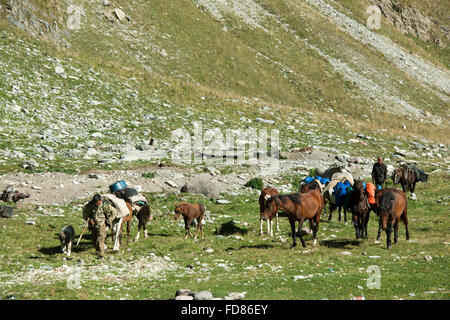 Georgien, Mtskheta-Mtianeti, Hirten südlich von Stepansminda, Stockfoto