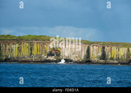 Neuseeland, Auckland-Inseln. Südlichen Meer-Blick auf die Klippen auf Enderby Island in der Nähe von Sandy Bay. Vogelfelsen. Stockfoto