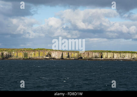 Neuseeland, Auckland-Inseln, unbewohnte Inselgruppe im südlichen Pazifik. Südlichen Meer-Blick auf den Klippen am Enderby. Stockfoto