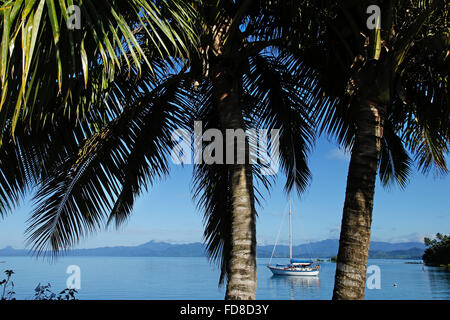 Savusavu Hafen, Vanua Levu Insel, Fidschi, South Pacific Stockfoto