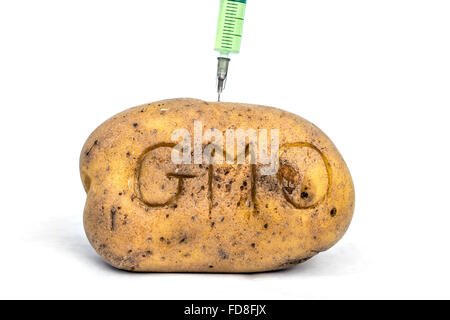 Kartoffel mit Spritze (gentechnische Veränderung-Konzept) Stockfoto