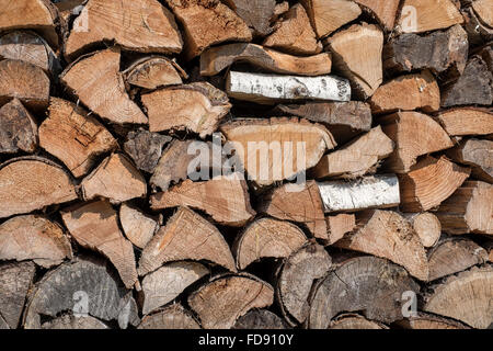 Stapel von übersichtlichen Brennholz für den Winter bereit Stockfoto