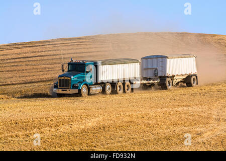 Ein Korn-Truck fährt durch ein Feld von Stoppeln während der Ernte in der Palouse Region Washington Stockfoto