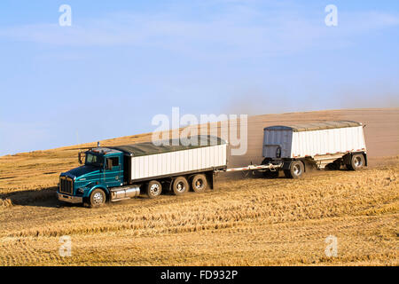 Ein Korn-LKW durch ein Feld von Stoppeln während der Ernte in der Palouse Region Washington reisen Stockfoto