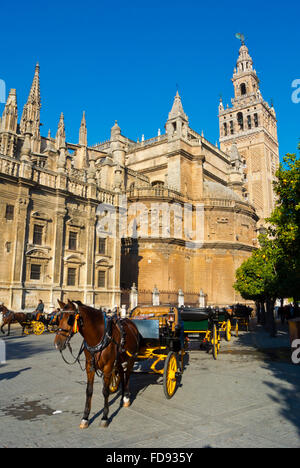 Pferd gezeichnete Wagen, vor der Kathedrale, Sevilla, Andalusien, Spanien Stockfoto