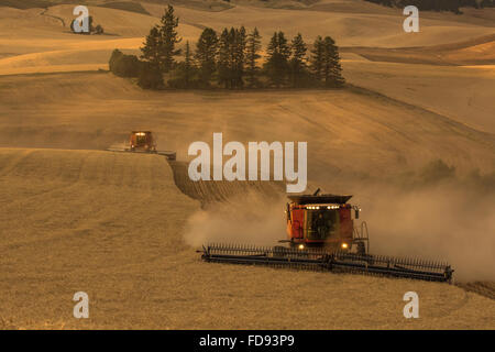 Gehäuse vereint Ernte Weizen in der Palouse Region Eastern Washington Stockfoto