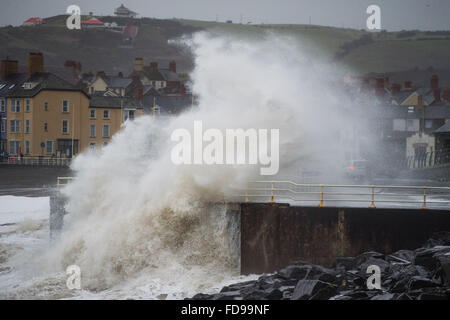 Aberystwyth, Wales, UK. 29. Januar 2016. Sturm-Gertrude trifft die Westküste von Wales bei Flut am Freitagmorgen, riesige Wellen zu Teig bringen das Meer entlang der Promenade und Hafen Amber Abwehrkräfte und rote Wetterwarnungen gibt es bei vielen westlichen und nördlichen Teilen des Vereinigten Königreichs, mit Windgeschwindigkeiten bis zu 100 km/h in den Shetland-Inseln im äußersten Norden Schottlands Foto Credit gust voraussichtlich : Keith Morris/Alamy Live-Nachrichten Stockfoto