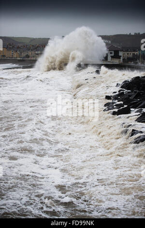 Aberystwyth, Wales, UK. 29. Januar 2016. Sturm-Gertrude trifft die Westküste von Wales bei Flut am Freitagmorgen, riesige Wellen zu Teig bringen das Meer entlang der Promenade und Hafen Amber Abwehrkräfte und rote Wetterwarnungen gibt es bei vielen westlichen und nördlichen Teilen des Vereinigten Königreichs, mit Windgeschwindigkeiten bis zu 100 km/h in den Shetland-Inseln im äußersten Norden Schottlands Foto Credit gust voraussichtlich : Keith Morris/Alamy Live-Nachrichten Stockfoto