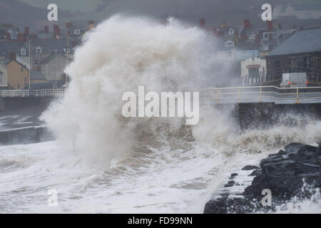 Aberystwyth, Wales, UK. 29. Januar 2016. Sturm-Gertrude trifft die Westküste von Wales bei Flut am Freitagmorgen, riesige Wellen zu Teig bringen das Meer entlang der Promenade und Hafen Amber Abwehrkräfte und rote Wetterwarnungen gibt es bei vielen westlichen und nördlichen Teilen des Vereinigten Königreichs, mit Windgeschwindigkeiten bis zu 100 km/h in den Shetland-Inseln im äußersten Norden Schottlands Foto Credit gust voraussichtlich : Keith Morris/Alamy Live-Nachrichten Stockfoto