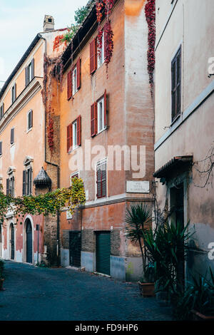 Eine typische Straße im Stadtteil Trastevere von Rom mit einem Weinstock Bogen drapiert. Stockfoto