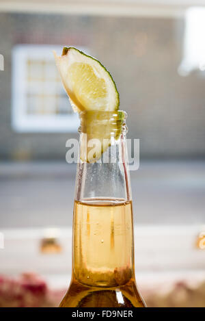 Eine Lager-Flasche mit einem Stück Limette in der Flasche Hals bereit um zu trinken. Ein Lager und Kalk. Stockfoto