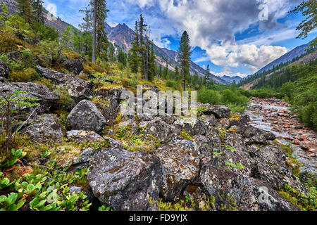 Große Felsbrocken in der seltenen Bergwälder in der Nähe von dem kleinen sibirischen Fluss. Östlichen Sayan. Burjatien Stockfoto