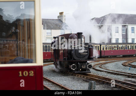 Einer der berühmten wieder Bahn Double Fairlie Motoren läuft rund um die Bahn bei Porthmadog Stockfoto