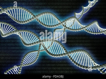 Doppel-Helix Dna aus binären Computercode gemacht Stockfoto