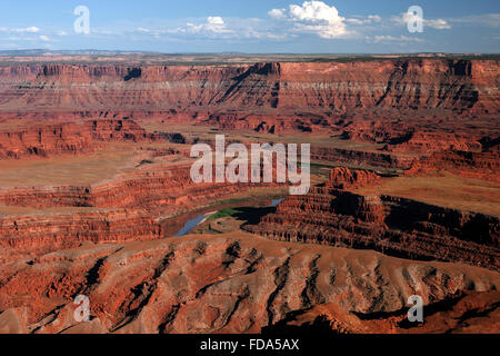 Blick vom Toten Pferd Punkt übersehen, Erosion-Landschaft und den Colorado River, Abendlicht, Dead Horse Point State Park, Utah Stockfoto