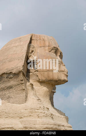 Die Sphinx bewacht die Pyramiden auf dem Gizeh-Plateau in Kairo, Ägypten. Stockfoto