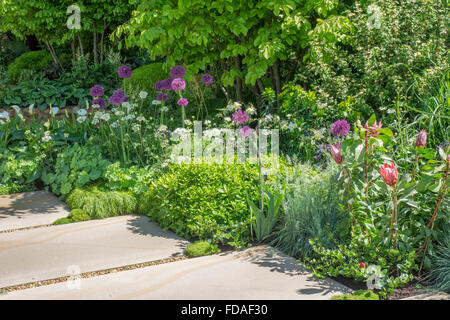 Grenze gepflanzt mit Lupinus Meisterwerk, Gastgeber Devon Green, Geum Prinzessin Juliana und Storchschnabel Johnsons in Morgan Stanl blau Stockfoto