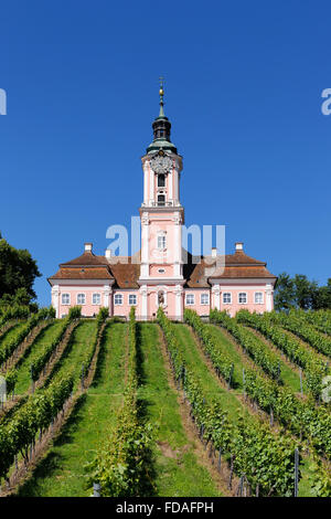 Wallfahrtskirche Birnau mit Weinberg, Uhldingen-Mühlhofen, Bodenseekreis, Oberschwaben, Baden-Württemberg, Deutschland Stockfoto