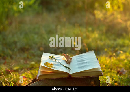 Buch der Poesie im Freien mit Laub und Blumen drauf Stockfoto