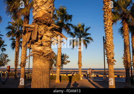 Passeig Maritim De La Patacona.Valencia, Spanien. Stockfoto