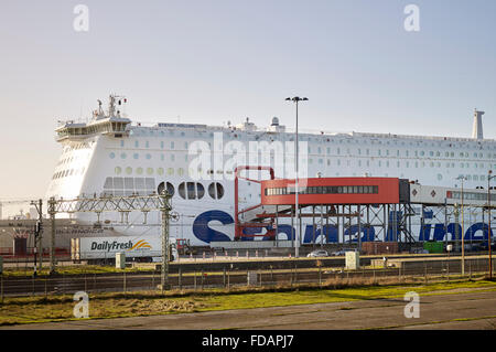 LKW-Fahrt zum Stena Line Fähre für den Transport von Hoek Van Holland nach England Stockfoto