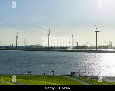 Windkraftanlagen in einem Industriegebiet in der Nähe von Rotterdam Stockfoto