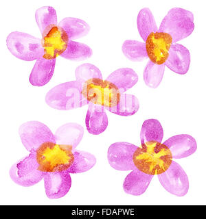 Rosa - gelben Aquarell Blumen über dem weißen Hintergrund isoliert Stockfoto