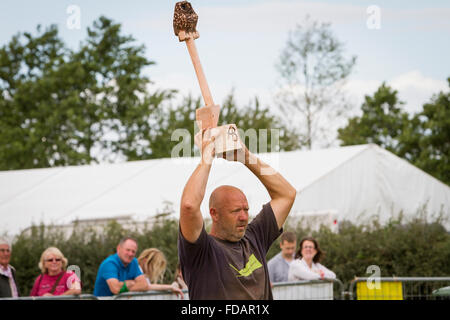 Knutsford, Cheshire, UK, 29. August 2015. Die 11. Englisch öffnen Chainsaw Carving Cheshire Wettkampfspiel & Country Fair Stockfoto