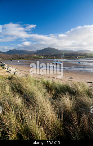 Llandanwg Strand Dünen Dünengebieten Gräser Boote bei Ebbe Mündung Gwynedd Mid Wales UK Stockfoto