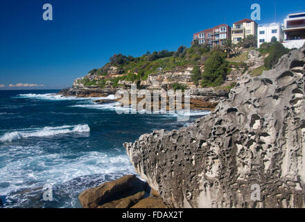Mackenzies Punkt verwitterte Felsen und Küste am Bondi, Coogee Spaziergang entlang der Küste südlich von Bondi Sydney NSW Australia Stockfoto