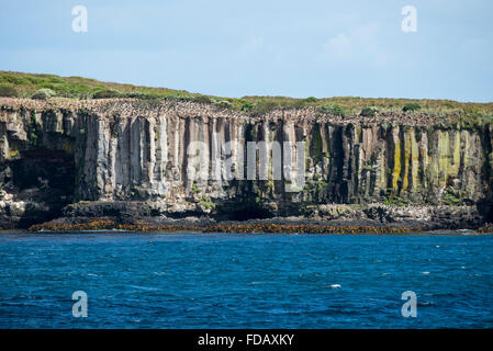 Neuseeland, Auckland-Inseln. Südlichen Meer-Blick auf die Klippen auf Enderby Island in der Nähe von Sandy Bay. Stockfoto