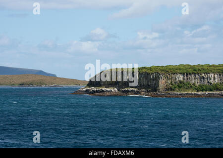 Neuseeland, Auckland-Inseln, unbewohnte Inselgruppe im südlichen Pazifik. Südlichen Meer-Blick auf den Klippen am Enderby. Stockfoto