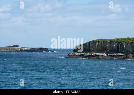 Neuseeland, Auckland-Inseln, unbewohnte Inselgruppe im südlichen Pazifik. Südlichen Meer-Blick auf den Klippen am Enderby. Stockfoto