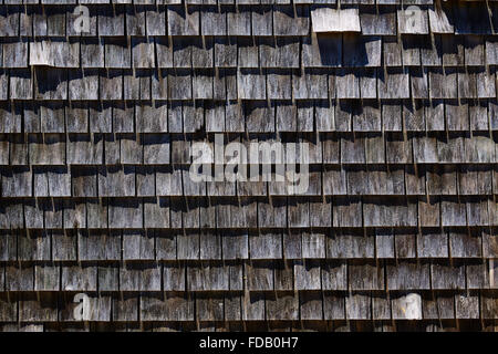 Cape Cod Holzwand Architektur Textur Detail Massachusetts, USA Stockfoto