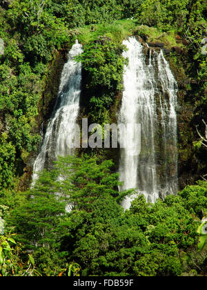 Schöne Wasserfälle umgeben von üppigem Grün in einem Regenwald/Dschungel in den USA Stockfoto