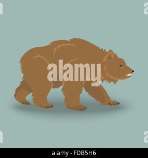 Wilden wütend Kodiak Bären. Ikone der Braunbär Stock Vektor