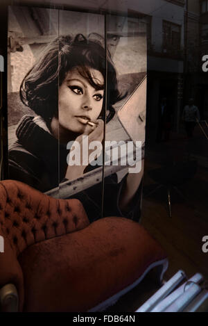 Sophia Loren, Foto in das Schaufenster eines Ladens Stockfoto