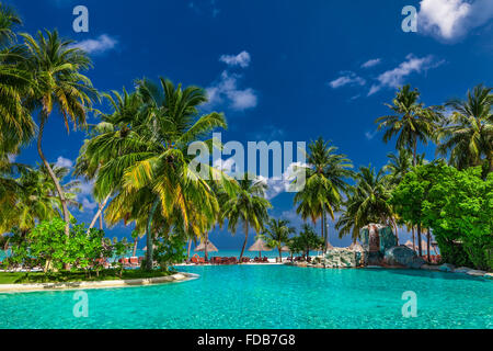 Großer Infinity-Swimmingpool am tropischen Strand mit Palmen und Sonnenschirmen Stockfoto