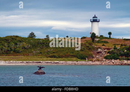 Kormoran trocknet Flügel vor Plane Cove Leuchtturm auf Nashon Insel innerhalb der Cape Cod Region von Massachusetts. Kormorane Tauchen für Fische. Stockfoto