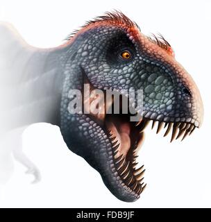 Tyrannosaurus Rex-Kopf, Abbildung. Dieser Dinosaurier lebten vor etwa 70 Millionen Jahren bis zum Aussterben der Dinosaurier etwa 5 Millionen Jahre später in Nordamerika. Der Kopf ist stark gebaut, um Auswirkungen mit Beutetieren, zu widerstehen und hat die scharfe Zähne ein Raubtier. T. wird Rex gedacht, um eine Schnitzeljagd sowie ein Jäger gewesen sein. Unter den größten fleischfressenden Dinosaurier T. Rex war bis zu 6 Meter hoch und wog mehr als 7 Tonnen. Das Tier ist mit braunen Federn dargestellt, obwohl spekulativ, ob es ihnen im realen Leben hatte ist. Stockfoto