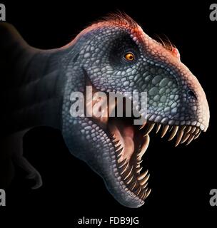 Tyrannosaurus Rex-Kopf, Abbildung. Dieser Dinosaurier lebten vor etwa 70 Millionen Jahren bis zum Aussterben der Dinosaurier etwa 5 Millionen Jahre später in Nordamerika. Der Kopf ist stark gebaut, um Auswirkungen mit Beutetieren, zu widerstehen und hat die scharfe Zähne ein Raubtier. T. wird Rex gedacht, um eine Schnitzeljagd sowie ein Jäger gewesen sein. Unter den größten fleischfressenden Dinosaurier T. Rex war bis zu 6 Meter hoch und wog mehr als 7 Tonnen. Das Tier ist mit braunen Federn dargestellt, obwohl spekulativ, ob es ihnen im realen Leben hatte ist. Stockfoto