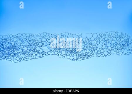 Eine Studio Nahaufnahme von Seifenblasen Stockfoto